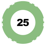 25 chip