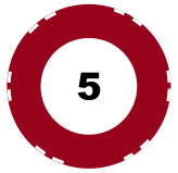 5 chip